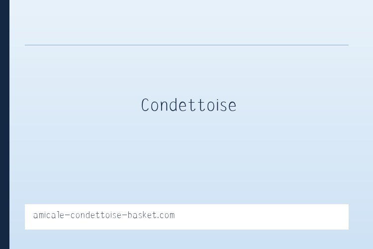 茶店布依族苗族彝族乡 - Amicale Condettoise Basket | 列表图